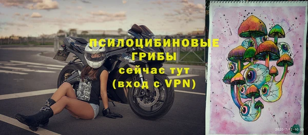 прущий лед Лагань