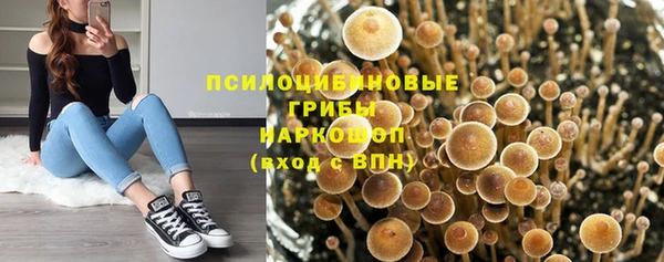синтетический гашиш Лабытнанги