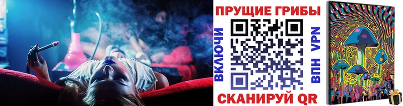 shop телеграм  Чекалин  Псилоцибиновые грибы прущие грибы  MEGA зеркало 